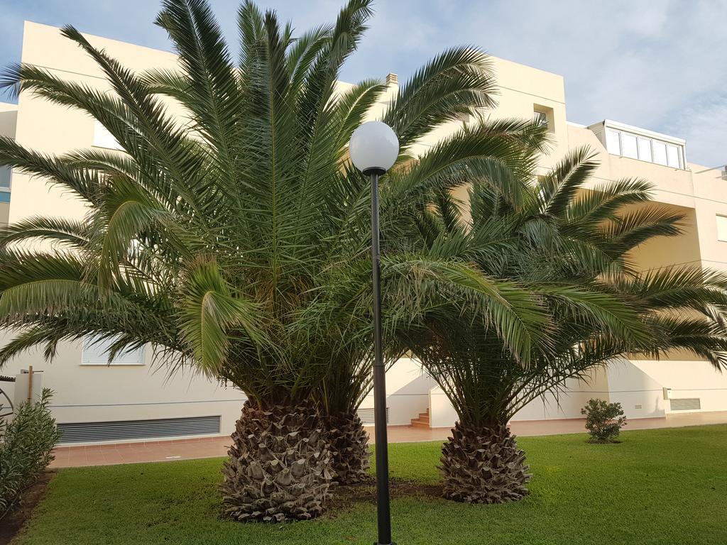 Alondras Playa Denia Apartment Exterior foto
